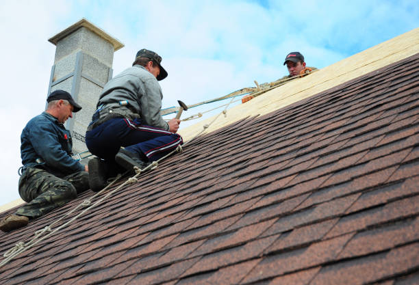 Best Shingle Roofing Installation  in Algoma, WI
