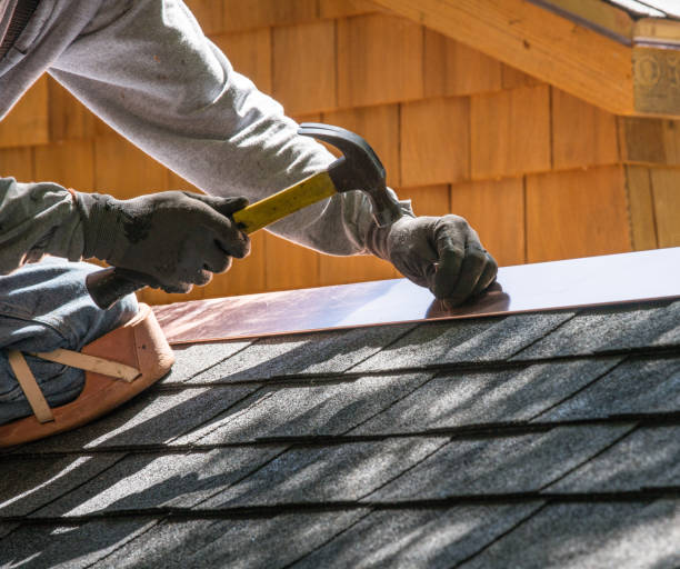 Best Metal Roofing Contractor  in Algoma, WI